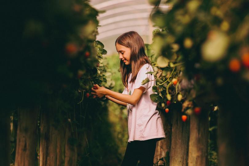 亲子共同的舒压时光:透过“植物疗愈”激发孩子的主见与专注力,建立良好的生命教育 内容图2 女神网-大潮社TV实时追踪属于女人新资讯的综合网站! 亲子共同的舒压时光:透过“植物疗愈”激发孩子的主见与专注力,建立良好的生命教育 愈心灵 图2张