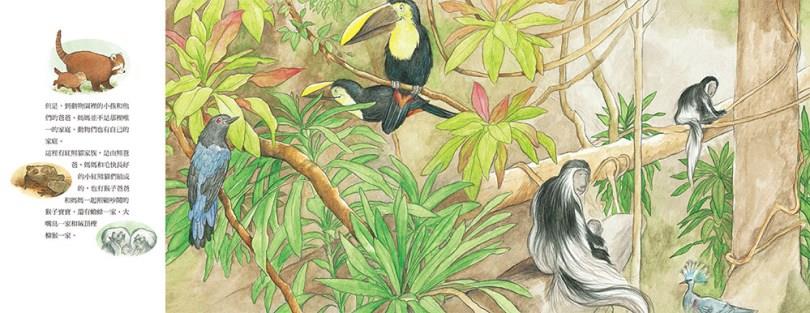 看见家与爱的多元面貌:3 部绘本感受自然又纯粹的情感,“家”的组成不应被限制 内容图5 女神网-大潮社TV实时追踪属于女人新资讯的综合网站! 看见家与爱的多元面貌:3 部绘本感受自然又纯粹的情感,“家”的组成不应被限制 愈心灵 图5张