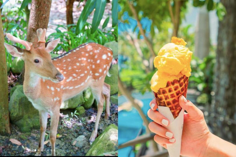 打卡胜地再 +1!来垦丁体验与水豚共游超酷行程,还有必去的最美公路 内容图2 女神网-大潮社TV实时追踪属于女人新资讯的综合网站! 打卡胜地再 +1!来垦丁体验与水豚共游超酷行程,还有必去的最美公路 乐生活 图2张