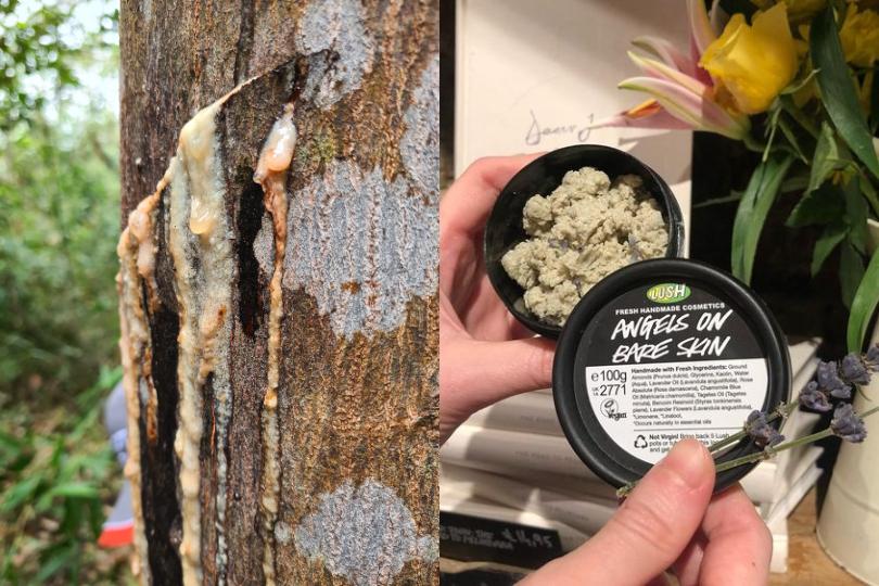 从头到脚的“去角质”计划:沁凉酷夏水女孩到来,向老废角质说掰掰 内容图4 女神网-大潮社TV实时追踪属于女人新资讯的综合网站! 从头到脚的“去角质”计划:沁凉酷夏水女孩到来,向老废角质说掰掰 乐生活 图4张