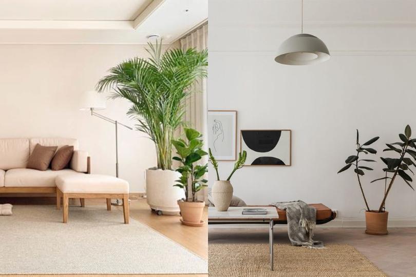 夏季居家装修选择|从家具到装饰,5 撇步打造清凉居住环境 内容图5 女神网-大潮社TV实时追踪属于女人新资讯的综合网站! 夏季居家装修选择|从家具到装饰,5 撇步打造清凉居住环境 乐生活 图5张