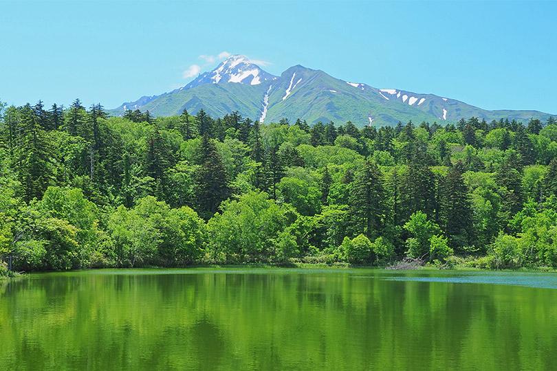 大自然的宝藏|3 个顶级原料的故事,利尻昆布竟带动全岛总动员! 内容图1 女神网-大潮社TV实时追踪属于女人新资讯的综合网站! 大自然的宝藏|3 个顶级原料的故事,利尻昆布竟带动全岛总动员! 乐生活 图1张