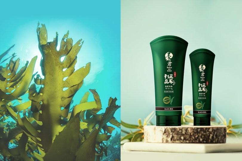 大自然的宝藏|3 个顶级原料的故事,利尻昆布竟带动全岛总动员! 内容图3 女神网-大潮社TV实时追踪属于女人新资讯的综合网站! 大自然的宝藏|3 个顶级原料的故事,利尻昆布竟带动全岛总动员! 乐生活 图3张