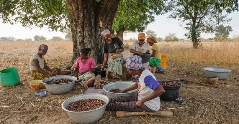 大自然的宝藏|3 个顶级原料的故事,利尻昆布竟带动全岛总动员! 内容图4 女神网-大潮社TV实时追踪属于女人新资讯的综合网站! 大自然的宝藏|3 个顶级原料的故事,利尻昆布竟带动全岛总动员! 乐生活 图4张