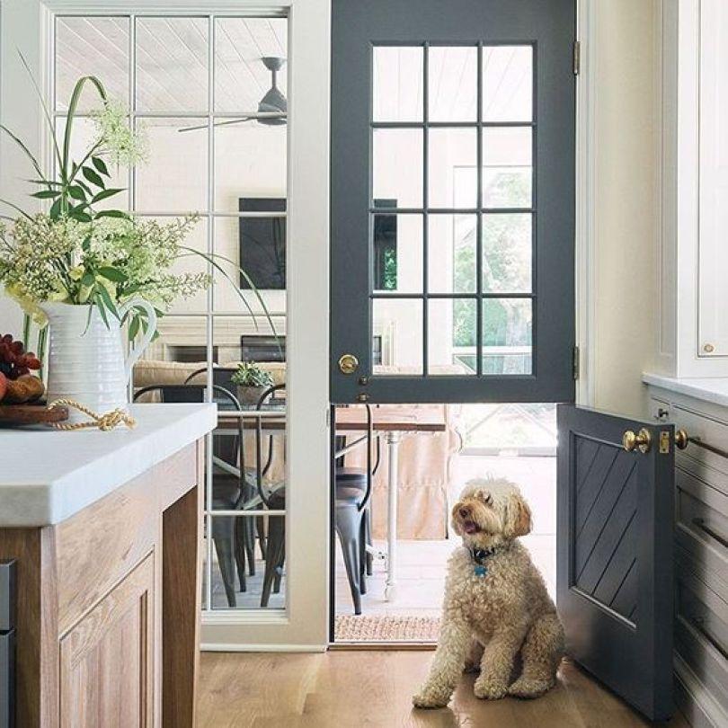 6 个宠物宅装修要点分享:从地板、家具到空间布局,打造安心宠物宅 内容图5 女神网-大潮社TV实时追踪属于女人新资讯的综合网站! 6 个宠物宅装修要点分享:从地板、家具到空间布局,打造安心宠物宅 乐生活 图5张