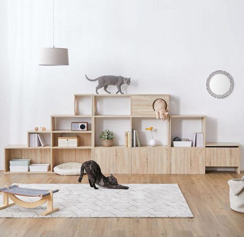 6 个宠物宅装修要点分享:从地板、家具到空间布局,打造安心宠物宅 内容图4 女神网-大潮社TV实时追踪属于女人新资讯的综合网站! 6 个宠物宅装修要点分享:从地板、家具到空间布局,打造安心宠物宅 乐生活 图4张