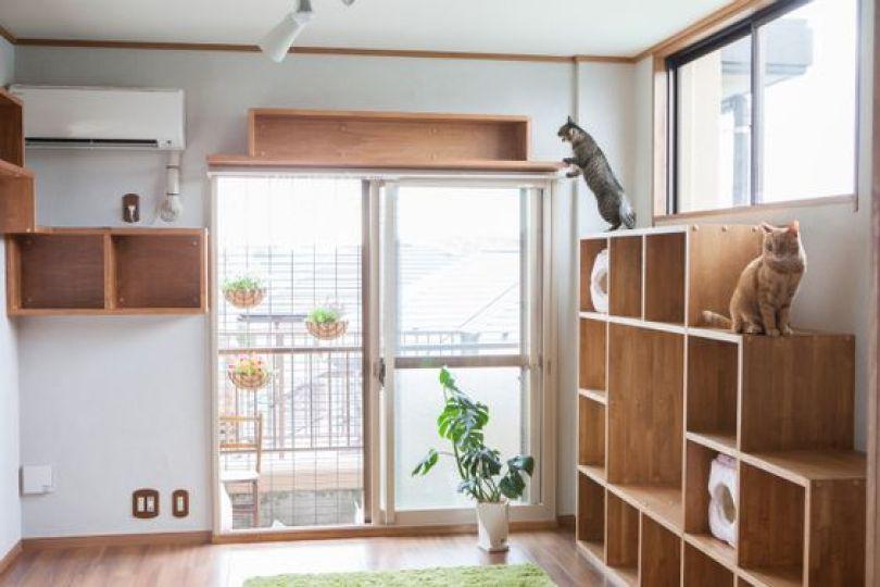 6 个宠物宅装修要点分享:从地板、家具到空间布局,打造安心宠物宅 内容图6 女神网-大潮社TV实时追踪属于女人新资讯的综合网站! 6 个宠物宅装修要点分享:从地板、家具到空间布局,打造安心宠物宅 乐生活 图6张