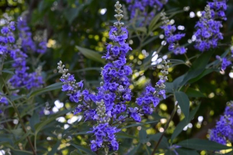 还在吃中药调身体吗?挥别妇科问题,应该要知道的 5 种天然保养成分 | 女神网 内容图1 女神网-大潮社TV实时追踪属于女人新资讯的综合网站! 还在吃中药调身体吗?挥别妇科问题,应该要知道的 5 种天然保养成分 | 女神网 乐生活 图1张