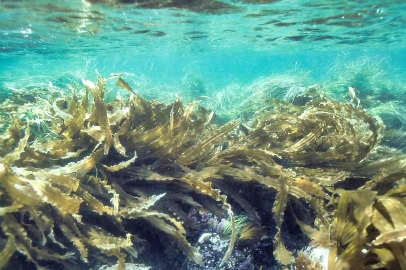 珍稀利尻昆布萃取!日本墨之君白发染 4 大亮点,轻松拥有乌黑亮丽秀发 | 女神网 内容图3 女神网-大潮社TV实时追踪属于女人新资讯的综合网站! 珍稀利尻昆布萃取!日本墨之君白发染 4 大亮点,轻松拥有乌黑亮丽秀发 | 女神网 乐生活 图3张