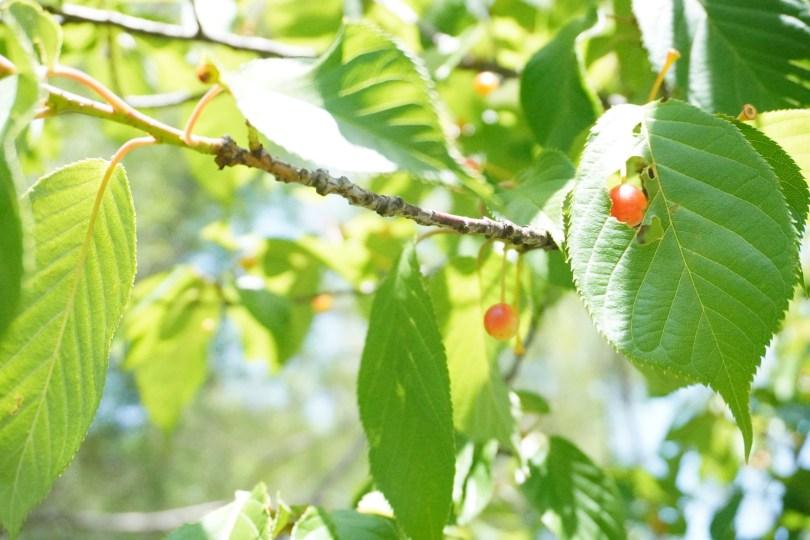 珍稀利尻昆布萃取!日本墨之君白发染 4 大亮点,轻松拥有乌黑亮丽秀发 | 女神网 内容图4 女神网-大潮社TV实时追踪属于女人新资讯的综合网站! 珍稀利尻昆布萃取!日本墨之君白发染 4 大亮点,轻松拥有乌黑亮丽秀发 | 女神网 乐生活 图4张