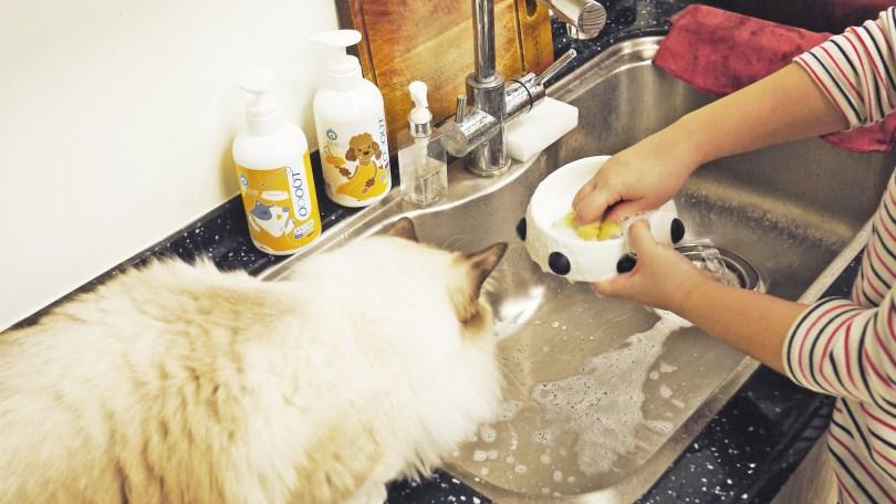 狗猫臭臭怎么办?兽医师鹰果传授“毛孩除臭”秘诀,跟臭味说掰掰! | 女神网 内容图8 女神网-大潮社TV实时追踪属于女人新资讯的综合网站! 狗猫臭臭怎么办?兽医师鹰果传授“毛孩除臭”秘诀,跟臭味说掰掰! | 女神网 乐生活 图8张