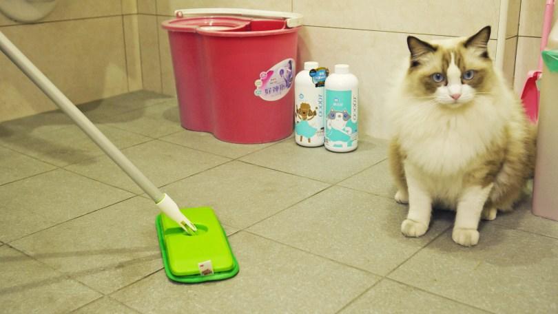 狗猫臭臭怎么办?兽医师鹰果传授“毛孩除臭”秘诀,跟臭味说掰掰! | 女神网 内容图9 女神网-大潮社TV实时追踪属于女人新资讯的综合网站! 狗猫臭臭怎么办?兽医师鹰果传授“毛孩除臭”秘诀,跟臭味说掰掰! | 女神网 乐生活 图9张