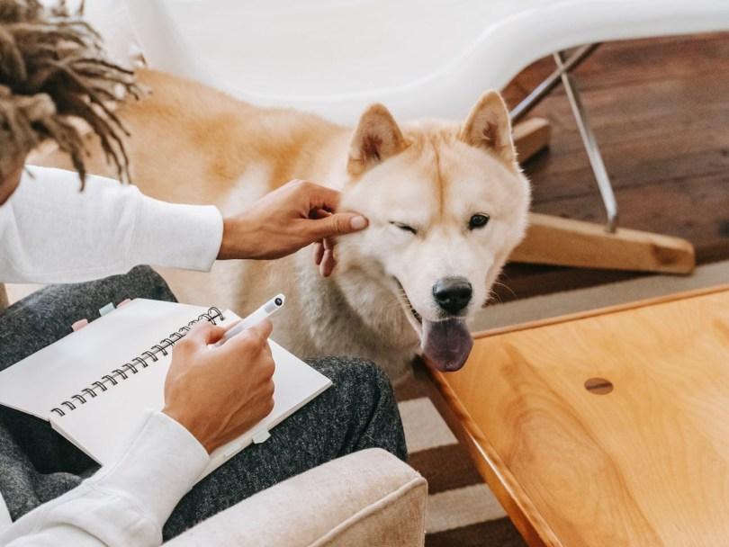 新年新计划老是执行失败?运用聪明策略制定新年愿景,你需要的是这 5 步骤 内容图2 女神网-大潮社TV实时追踪属于女人新资讯的综合网站! 新年新计划老是执行失败?运用聪明策略制定新年愿景,你需要的是这 5 步骤 愈心灵 图2张