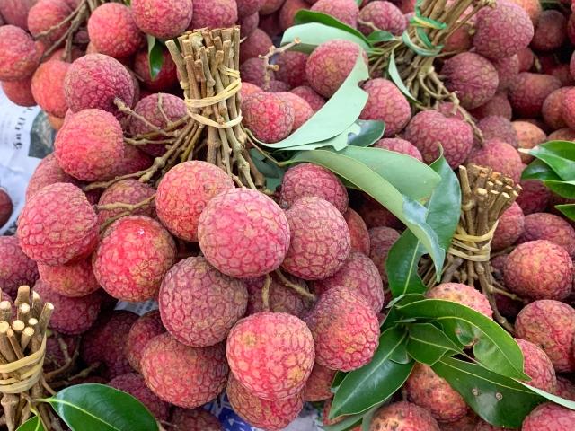 手脚冷到像冰棒?提供一招检测、日常穴道按摩与温补食材调养 内容图4 女神网-大潮社TV实时追踪属于女人新资讯的综合网站! 手脚冷到像冰棒?提供一招检测、日常穴道按摩与温补食材调养 乐生活 图4张