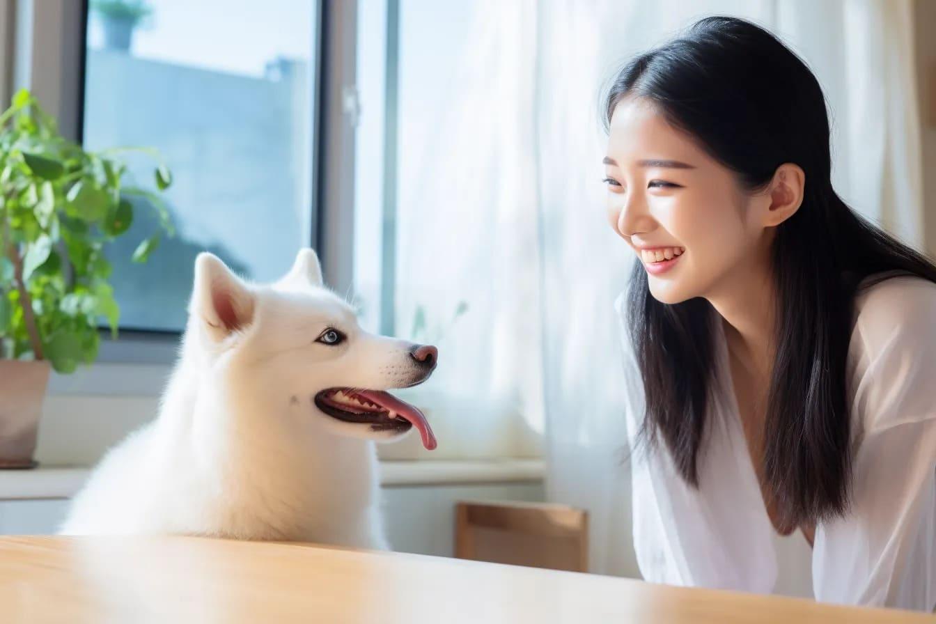 狗狗乱大小便怎么教?跟着宠物训练师这样做,家里不再乱糟糟! 内容图6 女神网-大潮社TV实时追踪属于女人新资讯的综合网站! 狗狗乱大小便怎么教?跟着宠物训练师这样做,家里不再乱糟糟! 乐生活 图6张