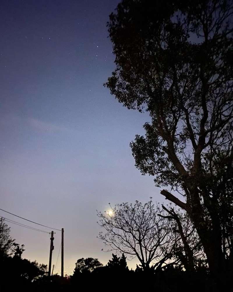 避开拥挤人潮!连假出游台中 10 秘境推荐:梦幻步道还有绝美落羽松 内容图5 女神网-大潮社TV实时追踪属于女人新资讯的综合网站! 避开拥挤人潮!连假出游台中 10 秘境推荐:梦幻步道还有绝美落羽松 乐生活 图5张