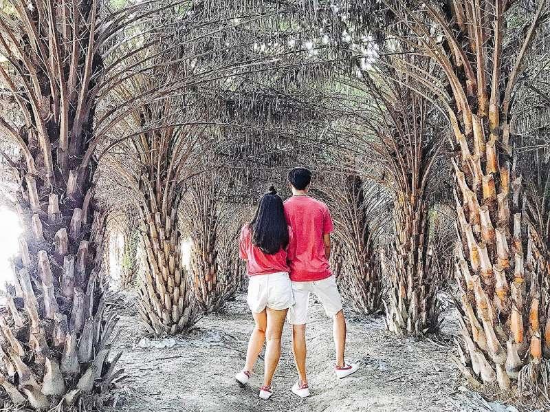 避开拥挤人潮!连假出游台中 10 秘境推荐:梦幻步道还有绝美落羽松 内容图4 女神网-大潮社TV实时追踪属于女人新资讯的综合网站! 避开拥挤人潮!连假出游台中 10 秘境推荐:梦幻步道还有绝美落羽松 乐生活 图4张