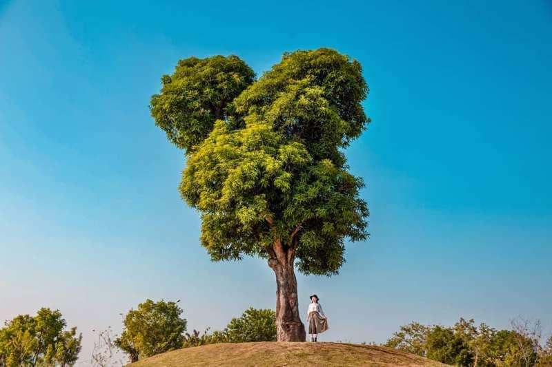 避开拥挤人潮!连假出游台中 10 秘境推荐:梦幻步道还有绝美落羽松 内容图8 女神网-大潮社TV实时追踪属于女人新资讯的综合网站! 避开拥挤人潮!连假出游台中 10 秘境推荐:梦幻步道还有绝美落羽松 乐生活 图8张