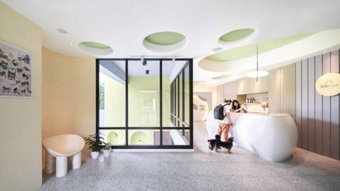 想带毛孩一起出游吗?7 家高雄宠物友善住宿,共度美好回忆 内容图1 女神网-大潮社TV实时追踪属于女人新资讯的综合网站! 想带毛孩一起出游吗?7 家高雄宠物友善住宿,共度美好回忆 乐生活 图1张