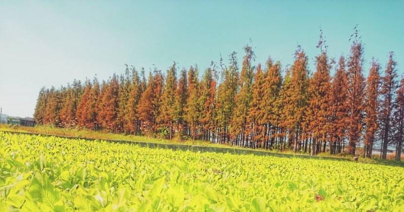 苗栗后龙景点 14 选!绝美海岸线、彩虹便利商店...等你来踩点 内容图10 女神网-大潮社TV实时追踪属于女人新资讯的综合网站! 苗栗后龙景点 14 选!绝美海岸线、彩虹便利商店...等你来踩点 乐生活 图10张