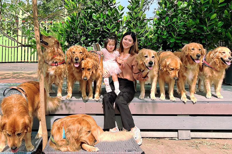 狗派站出来!特搜 4 间“疗愈大狗狗”相伴的餐厅,有烦恼就来撸狗吧! 内容图2 女神网-大潮社TV实时追踪属于女人新资讯的综合网站! 狗派站出来!特搜 4 间“疗愈大狗狗”相伴的餐厅,有烦恼就来撸狗吧! 乐生活 图2张