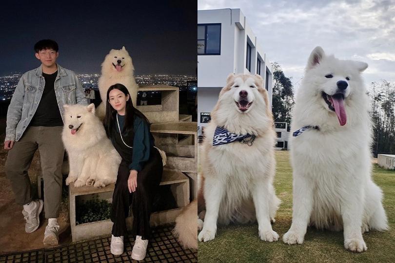 狗派站出来!特搜 4 间“疗愈大狗狗”相伴的餐厅,有烦恼就来撸狗吧! 内容图3 女神网-大潮社TV实时追踪属于女人新资讯的综合网站! 狗派站出来!特搜 4 间“疗愈大狗狗”相伴的餐厅,有烦恼就来撸狗吧! 乐生活 图3张