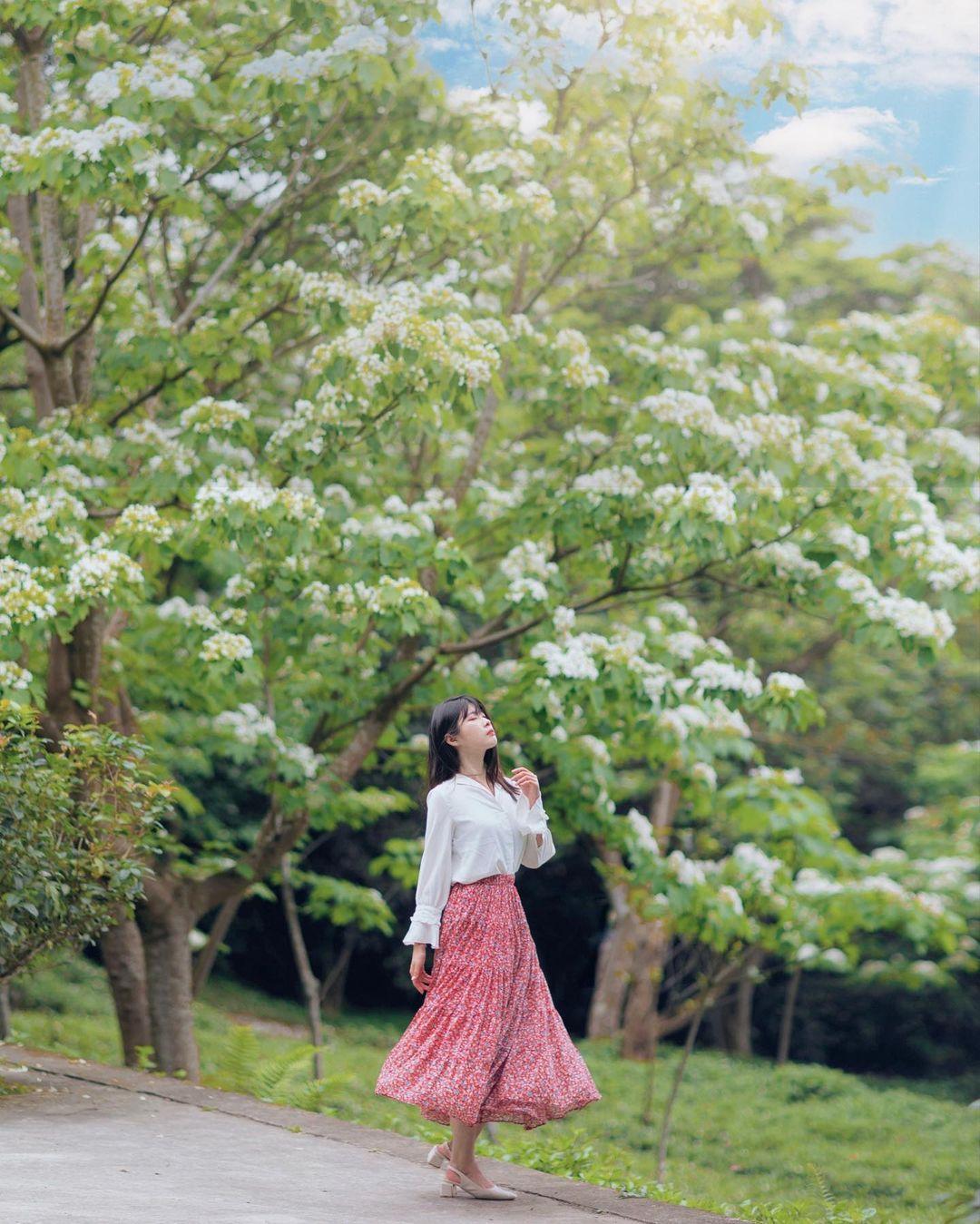 五月雪来袭!精选 2024 中国台湾八个赏桐胜地,感受浪漫风情 内容图2 女神网-大潮社TV实时追踪属于女人新资讯的综合网站! 五月雪来袭!精选 2024 中国台湾八个赏桐胜地,感受浪漫风情 乐生活 图2张