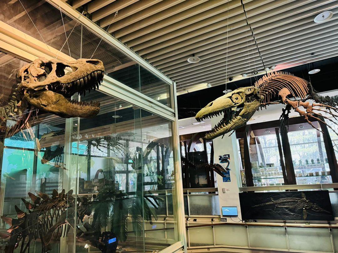 2024 南部 8 大亲子雨天好去处:寓教于乐互动体验,隐藏版亲子景点超好放电 内容图2 女神网-大潮社TV实时追踪属于女人新资讯的综合网站! 2024 南部 8 大亲子雨天好去处:寓教于乐互动体验,隐藏版亲子景点超好放电 乐生活 图2张