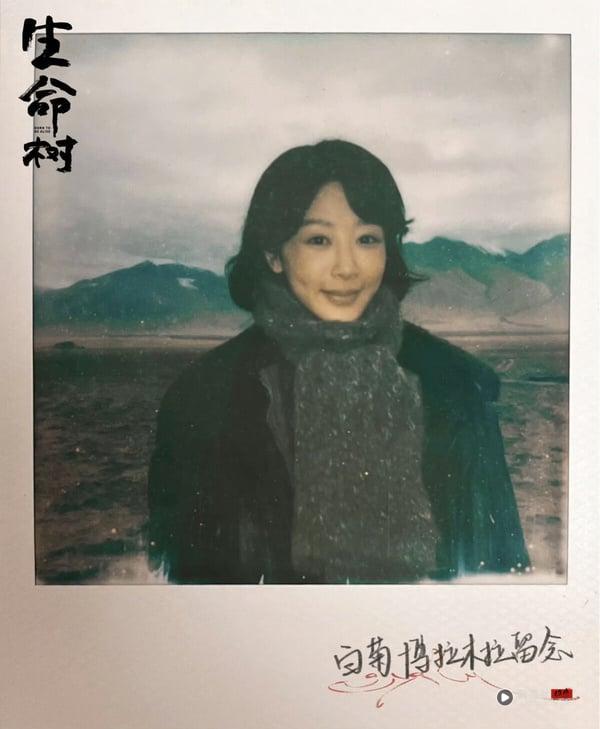 《锦绣芳华》主演的下部待播剧:杨紫两部大女主剧、李现携《书卷一梦》李一桐复仇! 内容图5 新潮社-实时最新热点娱乐时尚美妆等新闻资讯网站! 《锦绣芳华》主演下部待播剧!