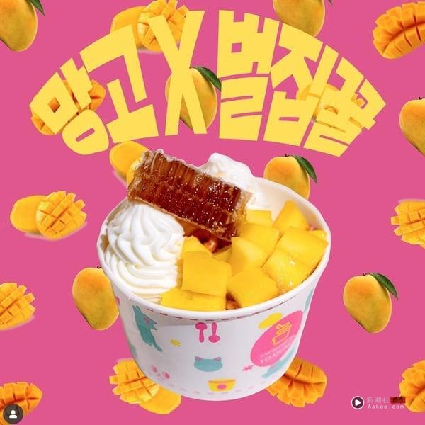 中国台湾吃得到!韩国爆红优格冰淇淋“YOAJUNG”首店插旗小巨蛋,优格+客制配料韩星爱吃 内容图3 新潮社-实时最新热点娱乐时尚美妆等新闻资讯网站! 韩国艺人也吃!人气优格冰淇淋“YOAJUNG”必吃品项