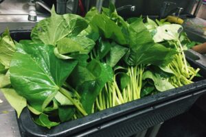 吃地瓜叶4大意外好处!不只高纤解便秘,护眼、抗氧化一次满足