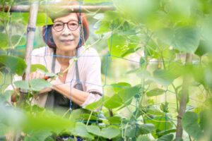 父母老了以后，竟每天都吃外食！医师：营养均衡对长寿几乎没影响，吃得开心更重要