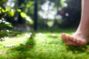 整天在家引发头痛、失眠,是没有接地气!白雁简单一动作,促进排除湿气和倦气