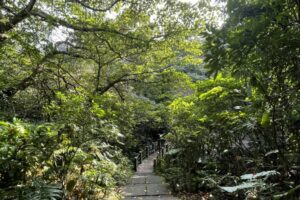 家,不只是近在身畔的日常,家也可能是遥远的朝圣与向往,深植于精神的原乡