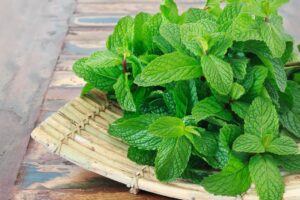 新冠肺炎》中研院揭5种抑制病毒药物，紫苏和薄荷都见效！“热水冲泡喝可保健”