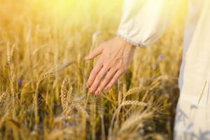 丈夫失智情绪不稳，她仍陪伴至最后一刻…一句“不后悔”就是照顾者最贵重的话语