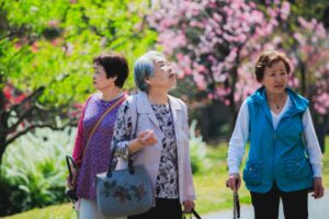 7人中有1个是老人 TW上月底起迈入高龄社会