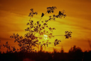 先准备好死之前所需要的钱