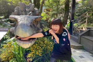 用300万翻成年收股息60万！江季芸“养鹅防老术”：中年才投资，先求不伤身再求疗效