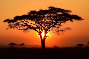 失去至亲的苦痛说不出，哭泣反而是力量　有足够时间悲伤后，第二人生才能走出来