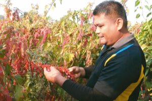 在伤痛中把孩子“生回来”，也把自己种回来…八八风灾小林村幸存者的故事