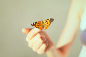 父亲临终前，把大体捐给国防医学院　女儿：有一种感谢，叫谢谢你把我爸爸缝得很好