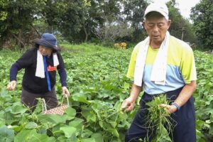 经历人生起落，已看开生死　老夫妻：签预立医疗决定书，自主善终，是留给孩子的爱