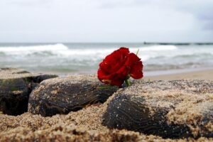 “拔管吧！我不想造成你们的负担”，其实谈死亡没那么难，爱他，请尊重他的选择