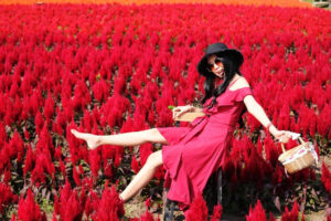 中年的悲伤，必须适可而止！除了继续前进，还要自成坚实浓密的树林，庇荫后方旅者