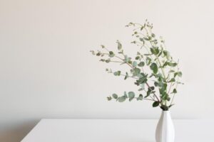 中年后,每一瞬间都用心活过!把想做的事情全做完,能带着满足的表情安详迎接死亡