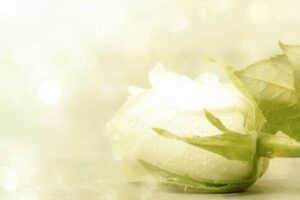 妈妈拔管那一刻，像在告诉我终于解脱了　儿： 如果当时我放手，也许她不用挨那些痛