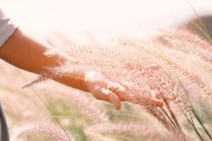 人生无常，爱要及时说出来！礼仪师：在亲人最后一段路，鼓起勇气说想说的做想做的