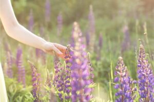 感情本来就没有好坏，中年后，接纳你的情绪，多爱自己一点！即使在困境中，也能找回最真实的自我