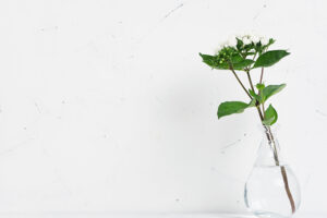 断舍离，让自己不再心烦！学会“放弃”的6步骤，让停滞的人生恢复生机